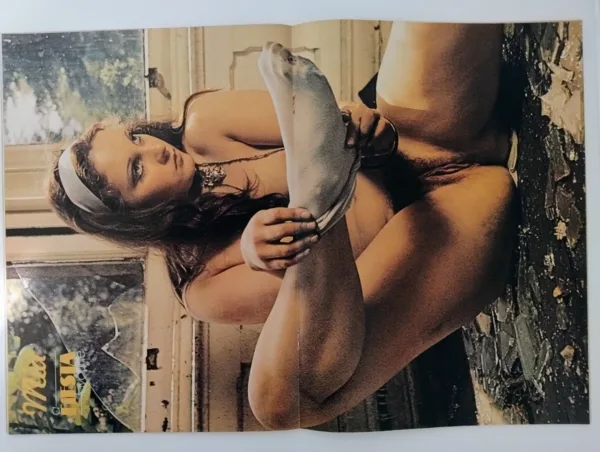 Fiesta Magazine - Vol 10  No 7 - Image 3